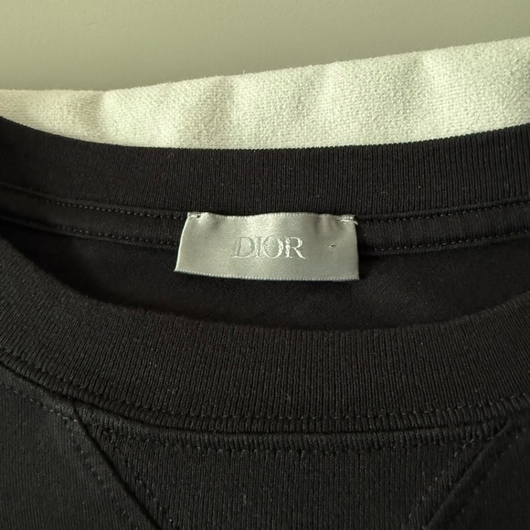 Christian Dior Homme x Peter Doig Oversized 2021 Logo T-Shirt in Black - Picture 5 of 6